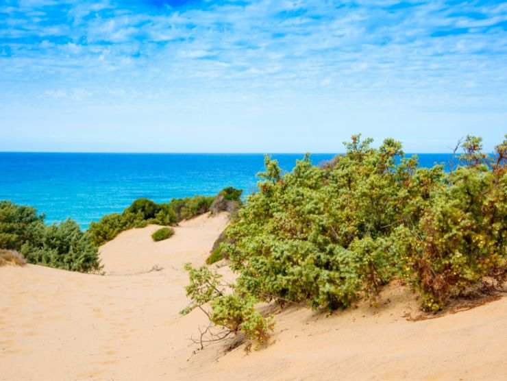 foto delle dune di piscinas in Sardegna