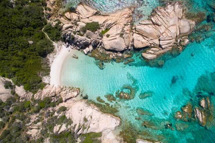 scogli e acqua cristallina azzurra con vegetazione verde