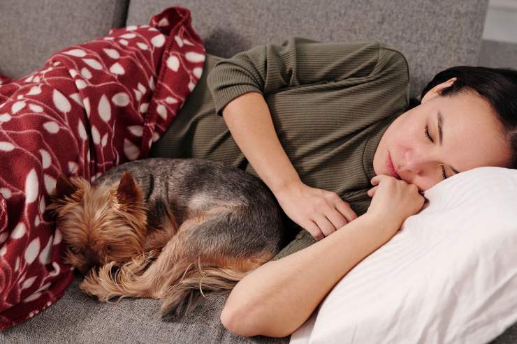 Ragazza dorme sul divano insieme al suo cane