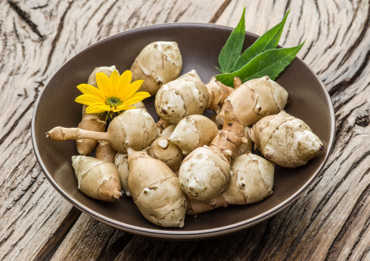 Topinambur all'interno di una fondina, con un fiore