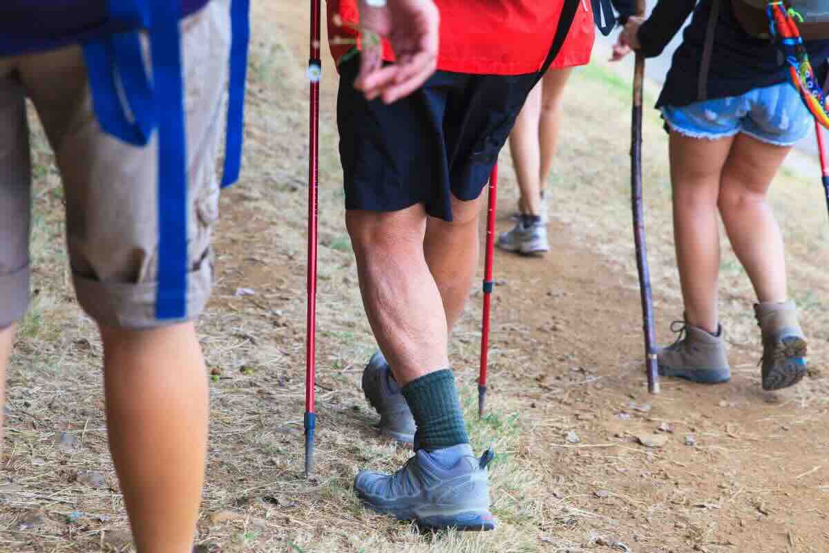 Gambe di uomini e donne che fanno trekking con bastoni