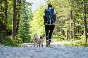 Donna con zaino in spalla di schiena che cammina nella natura con il cane