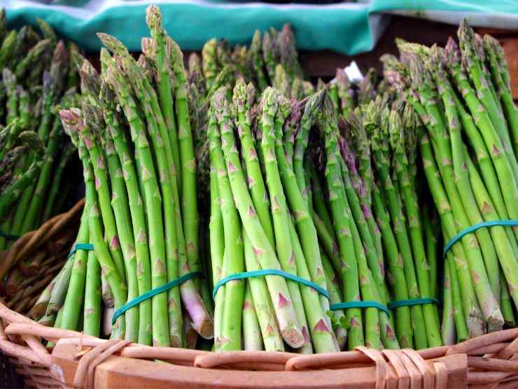 asparagi in fasci
