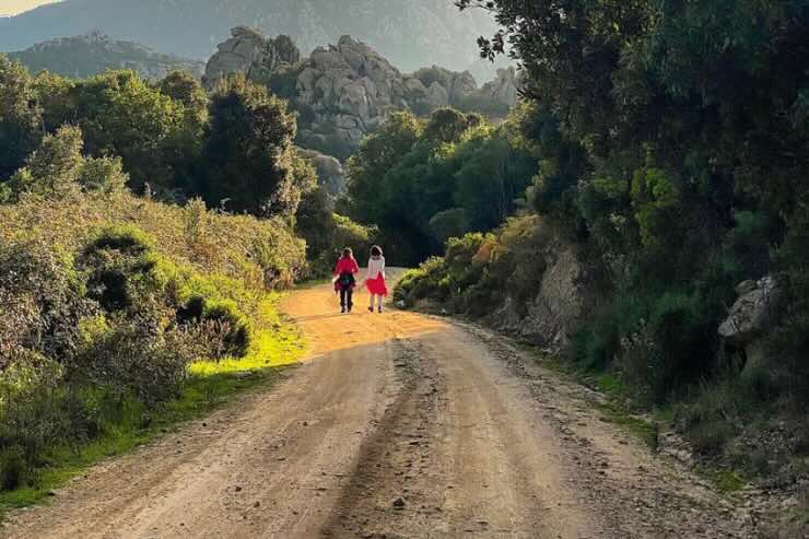 donne di spalle che camminano nella natura