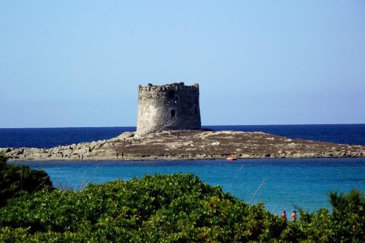 Isolotto con torre di avvisatamento, mare circostante, vegetazione in primo piano 