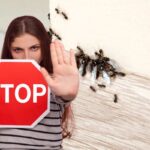 Donna segno stop e formiche